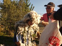 IMG 20180512 165739218
