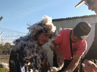 IMG 20180512 165745501